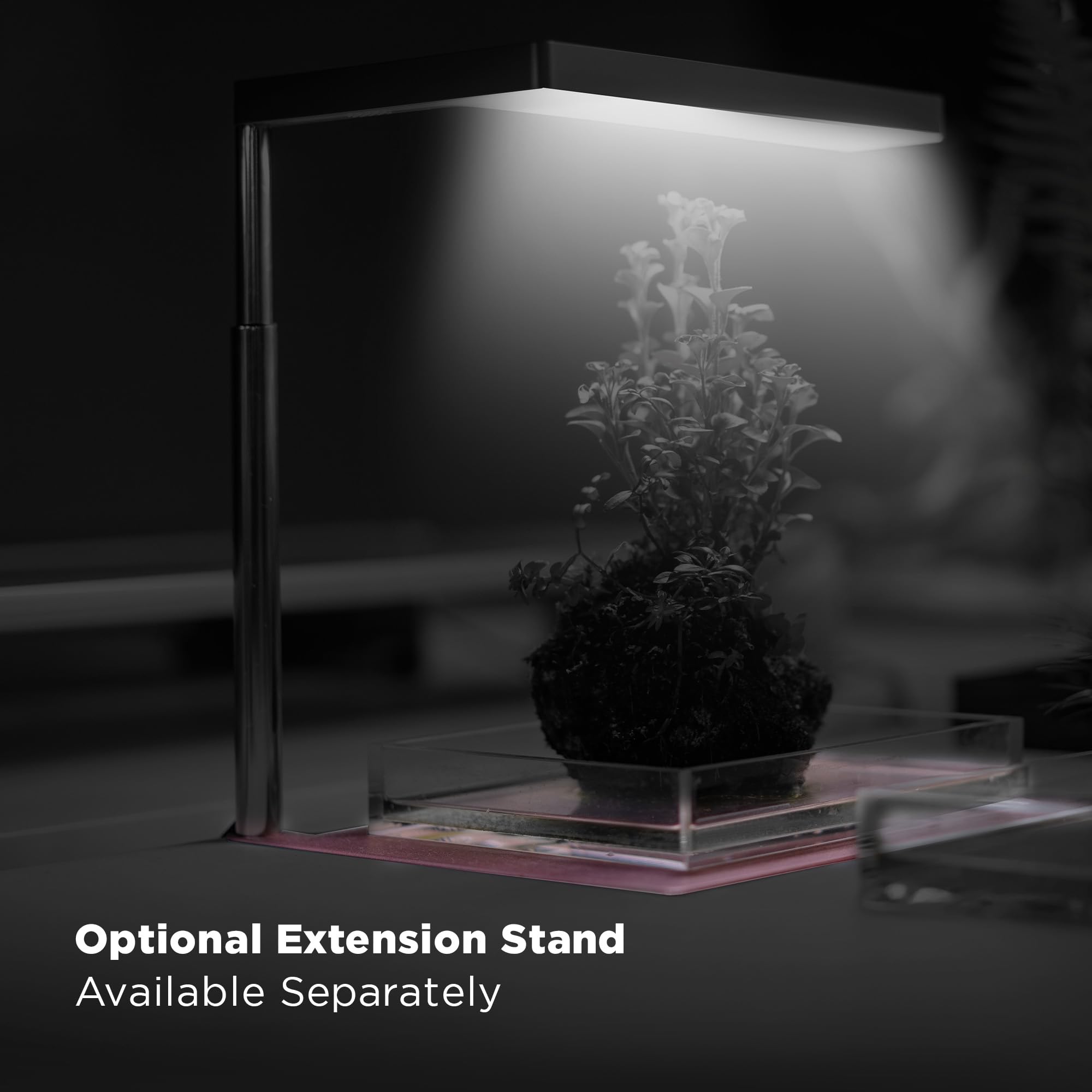 Amazon.com: ONF Flat Nano 15W Full Spectrum Aquarium Light, 4